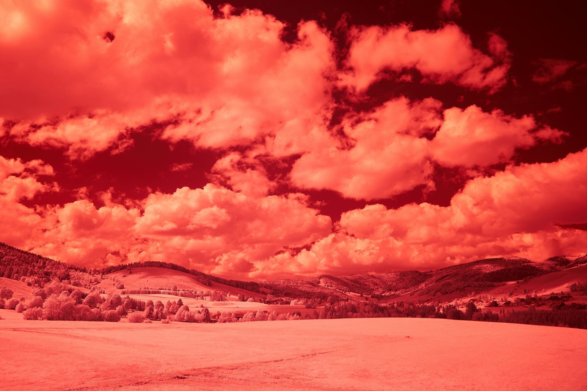 Коли життя на Землі повністю зникне: вчені переконані, що знають рік