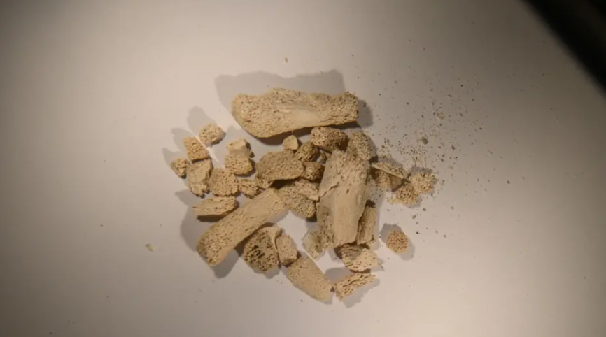 У печері знайшли останки 46 видів тварин льодовикового періоду. Фото