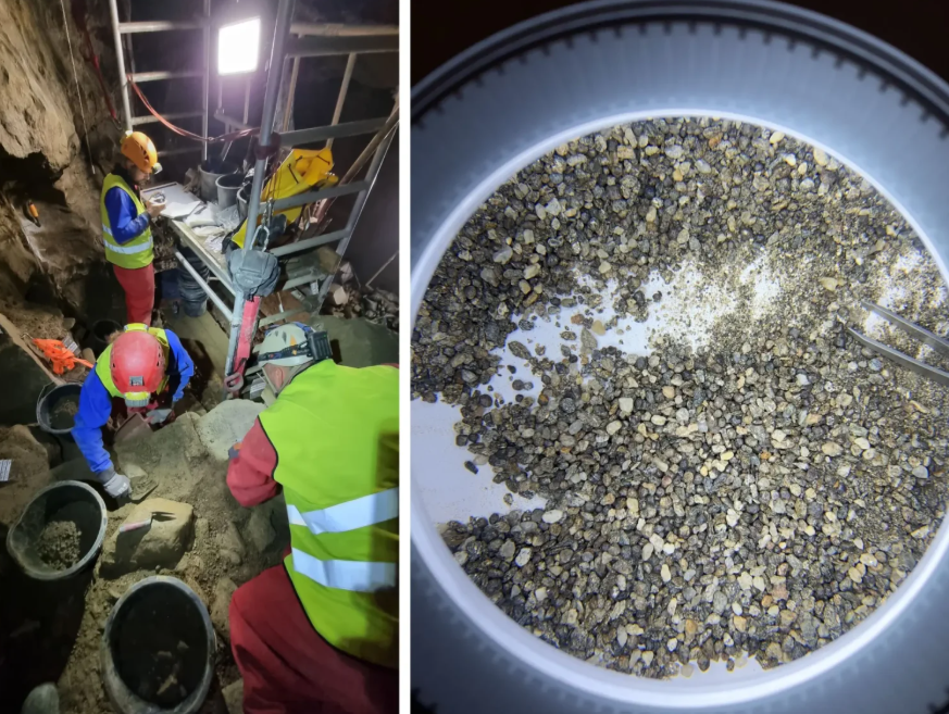 У печері знайшли останки 46 видів тварин льодовикового періоду. Фото