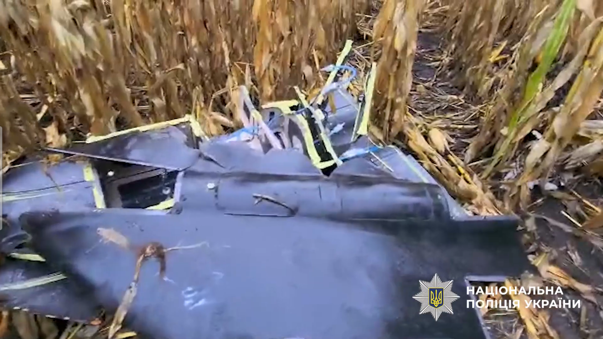 На Київщині знищили бойову частину "Шахеда", яку знайшли посеред поля. Відео