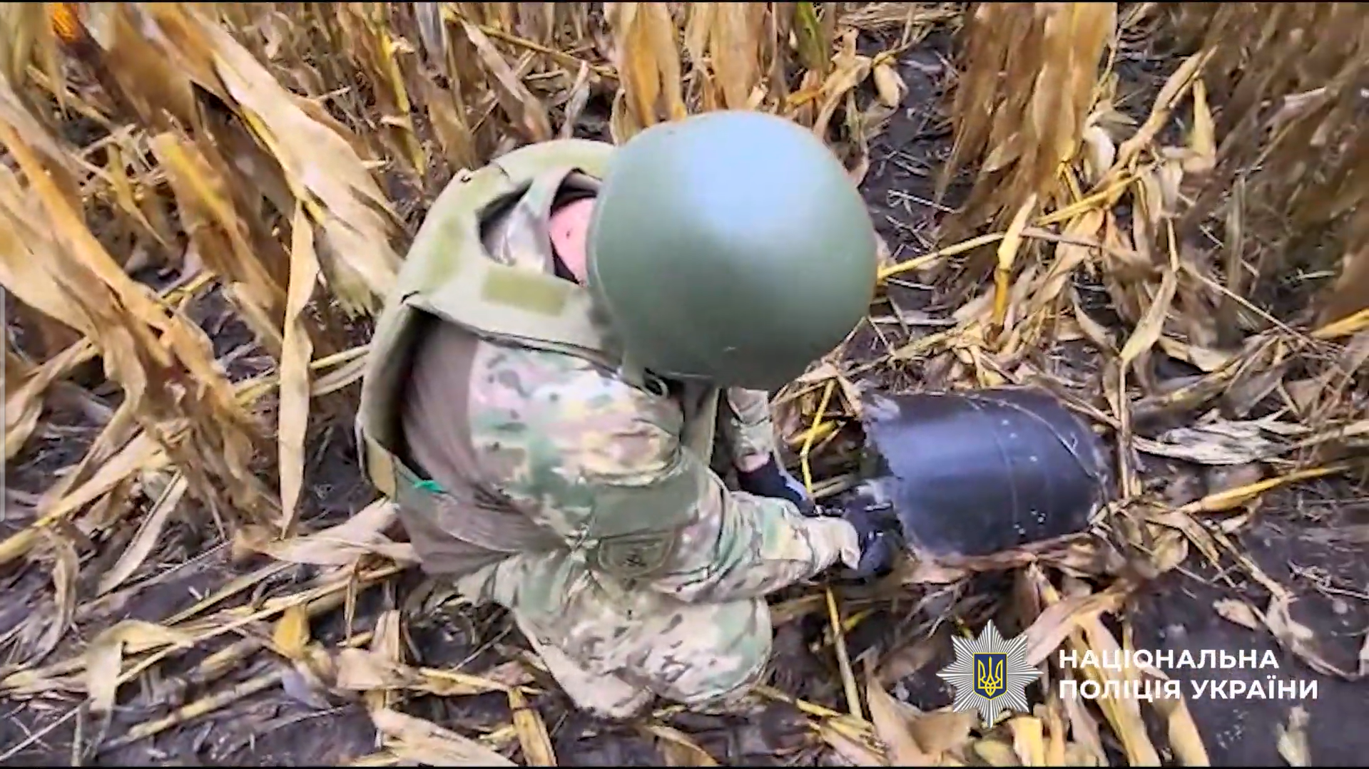 На Київщині знищили бойову частину "Шахеда", яку знайшли посеред поля. Відео