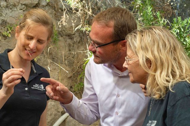 В Иерусалиме нашли первую в истории ассирийскую надпись: о чем послание. Фото