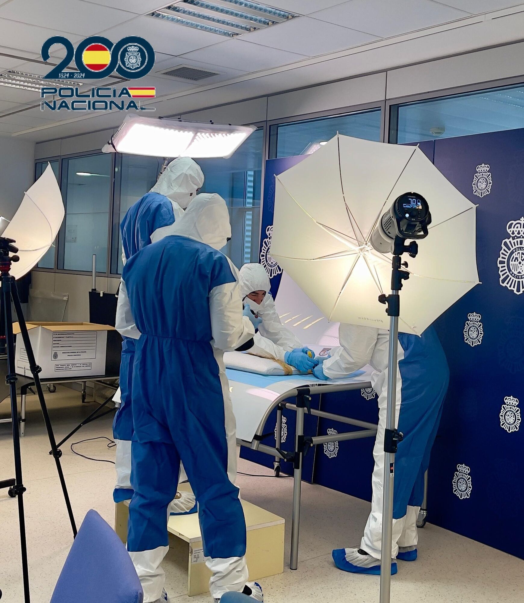 В Испании нашли картину Пикассо, которая исчезла по дороге на выставку: что с ней произошло. Фото