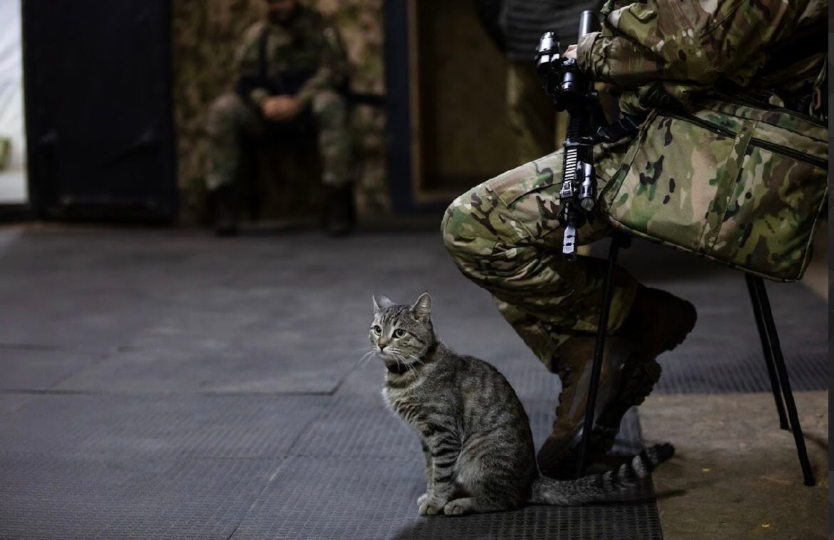 "Нечестность имеет слишком высокую цену": Сырский пригрозил командирам за замалчивание правды