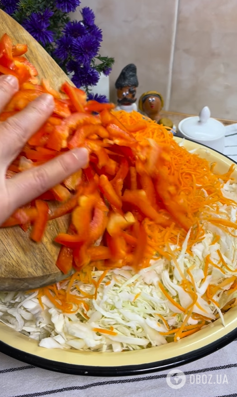 Маринована капуста з болгарським перцем та морквою: як приготувати смачну закуску