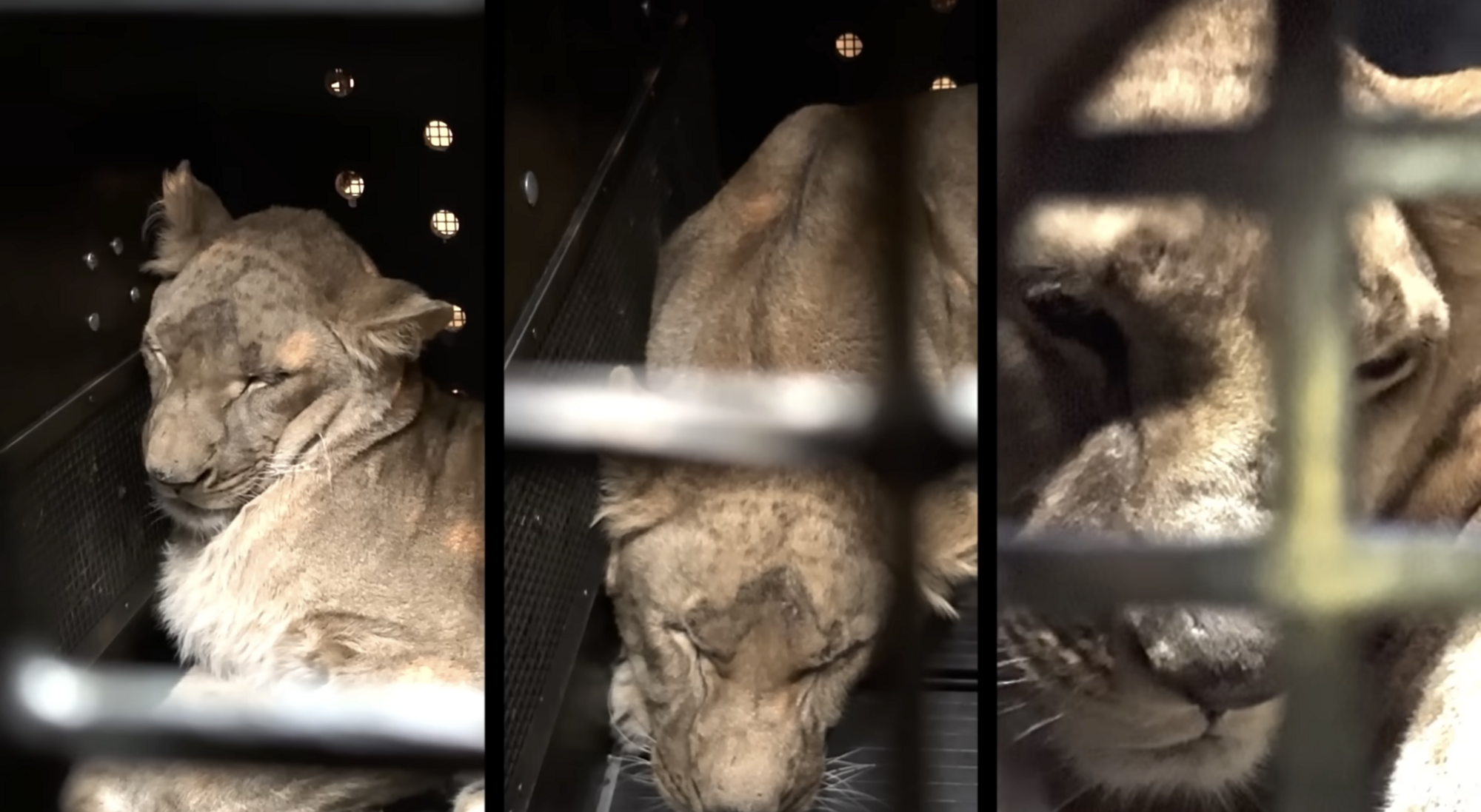 Найпопулярніший у світі YouTube-блогер оскандалився через Україну та підлизався до Росії: що не так із його новим відео