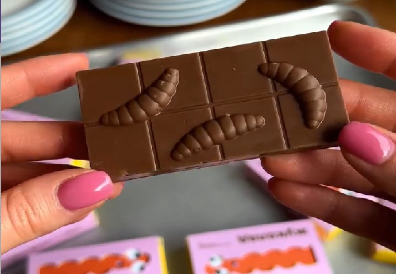 Жуколад: в Украине начали продавать шоколад с настоящими личинками жуков. Фото и видео