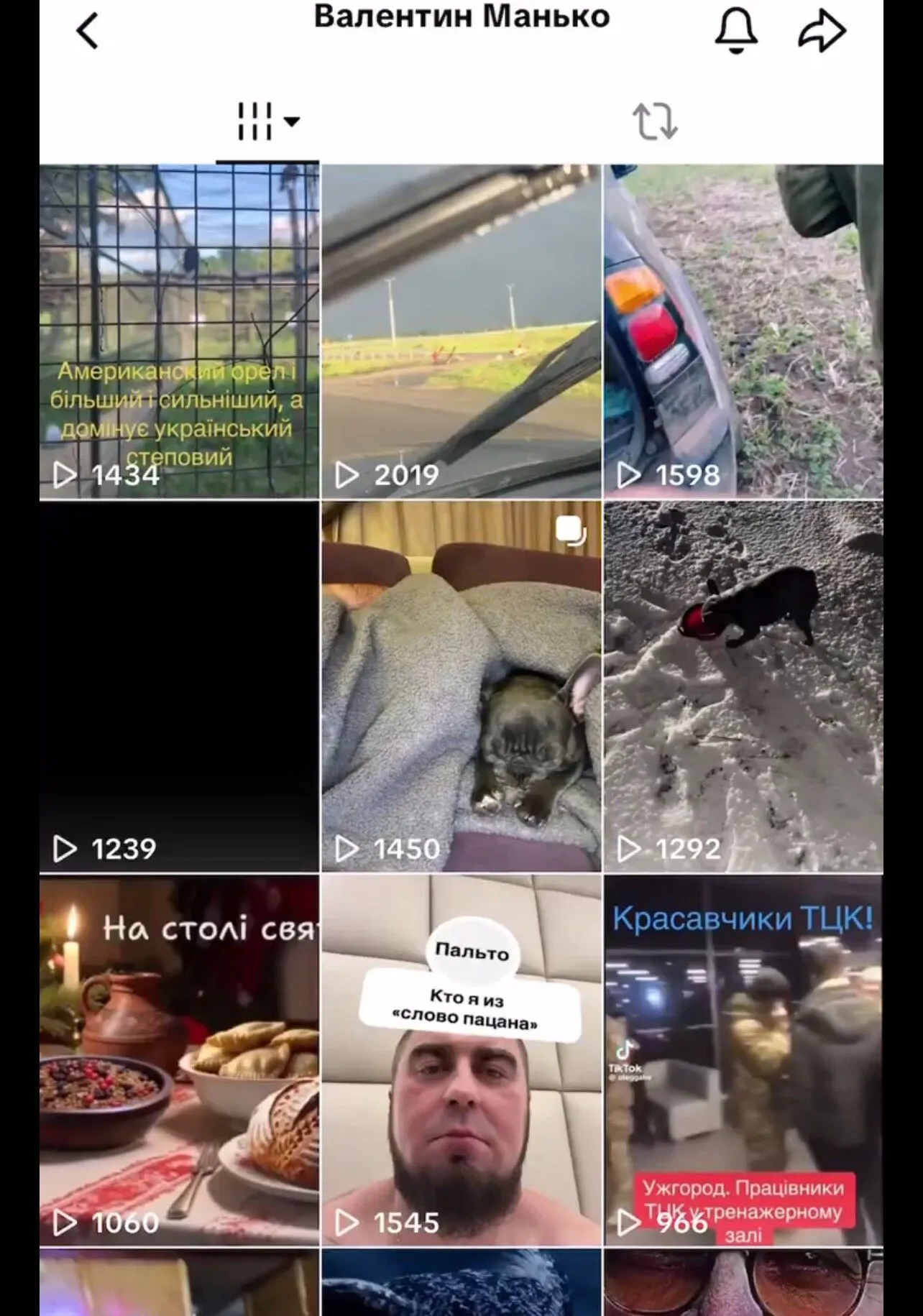 "Рекетир, боєць батальйону "Страус" та фанат російських серіалів": що відомо про полковника ЗСУ Валентина Манька