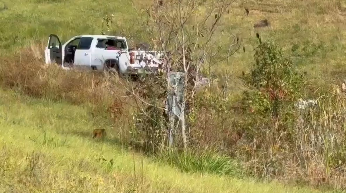 У США з розбитої вантажівки втекли лабораторні мавпи, заражені гепатитом С, герпесом і COVID: деталі інциденту. Фото