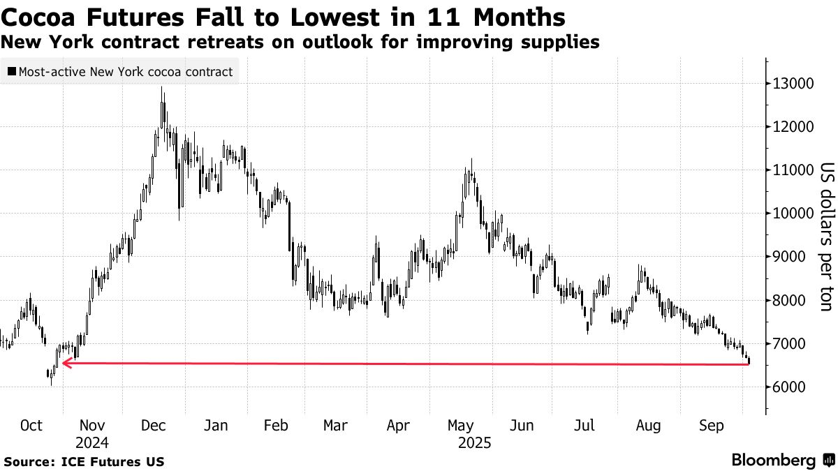 Котировки какао падают.