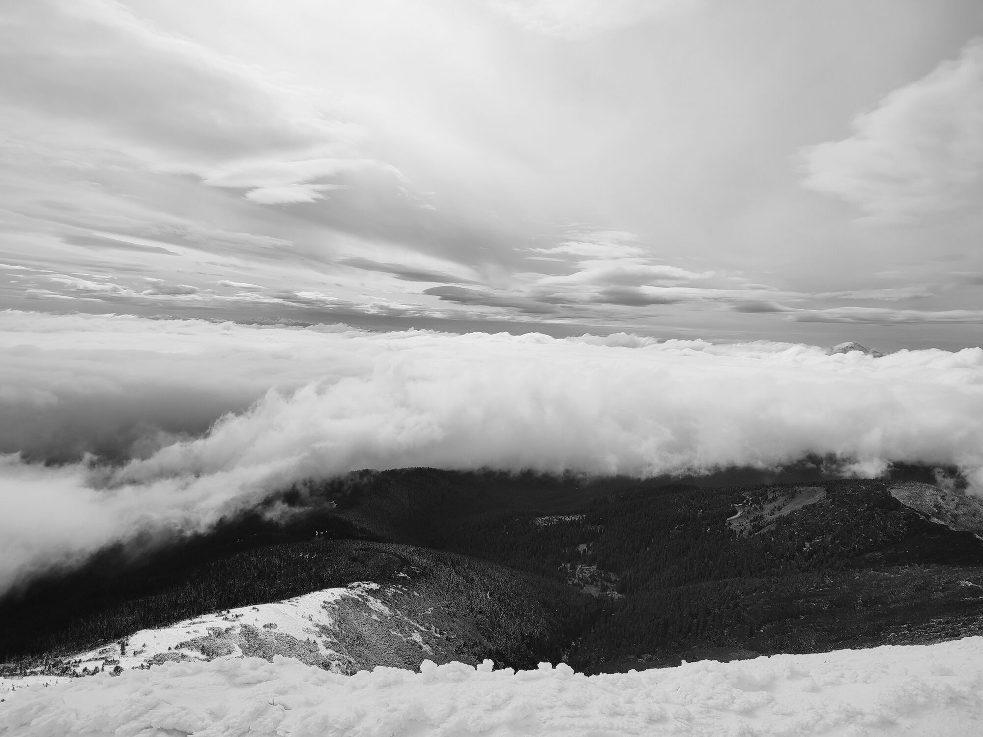 В Карпаты пришла настоящая зима: спасатели предупредили об опасности для жизни в горах. Видео