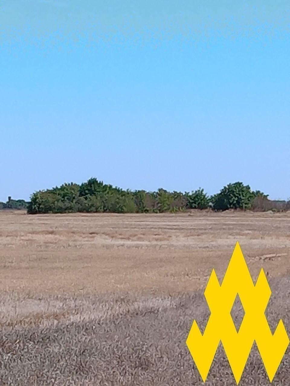 Росія збільшила кількість мобільних вогневих груп під Скадовськом: в "Атеш" пояснили, що відбувається. Фото