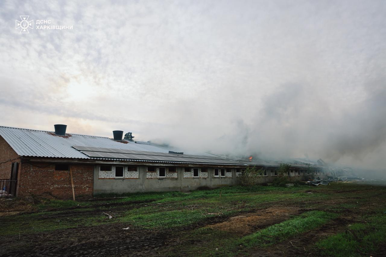 Оккупанты ударили по сельхозпредприятию на Харьковщине: погибли 13 тыс. свиней. Фото