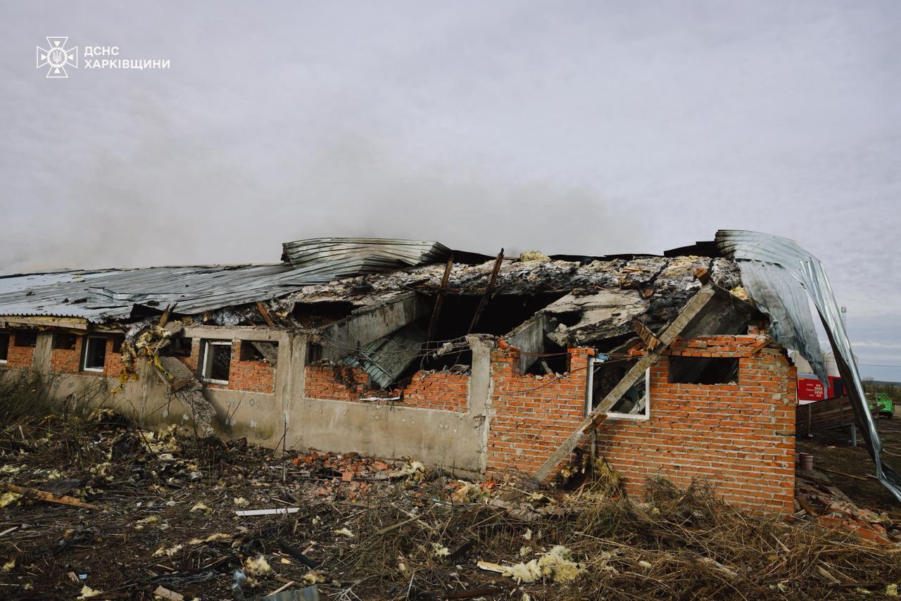 Оккупанты ударили по сельхозпредприятию на Харьковщине: погибли 13 тыс. свиней. Фото