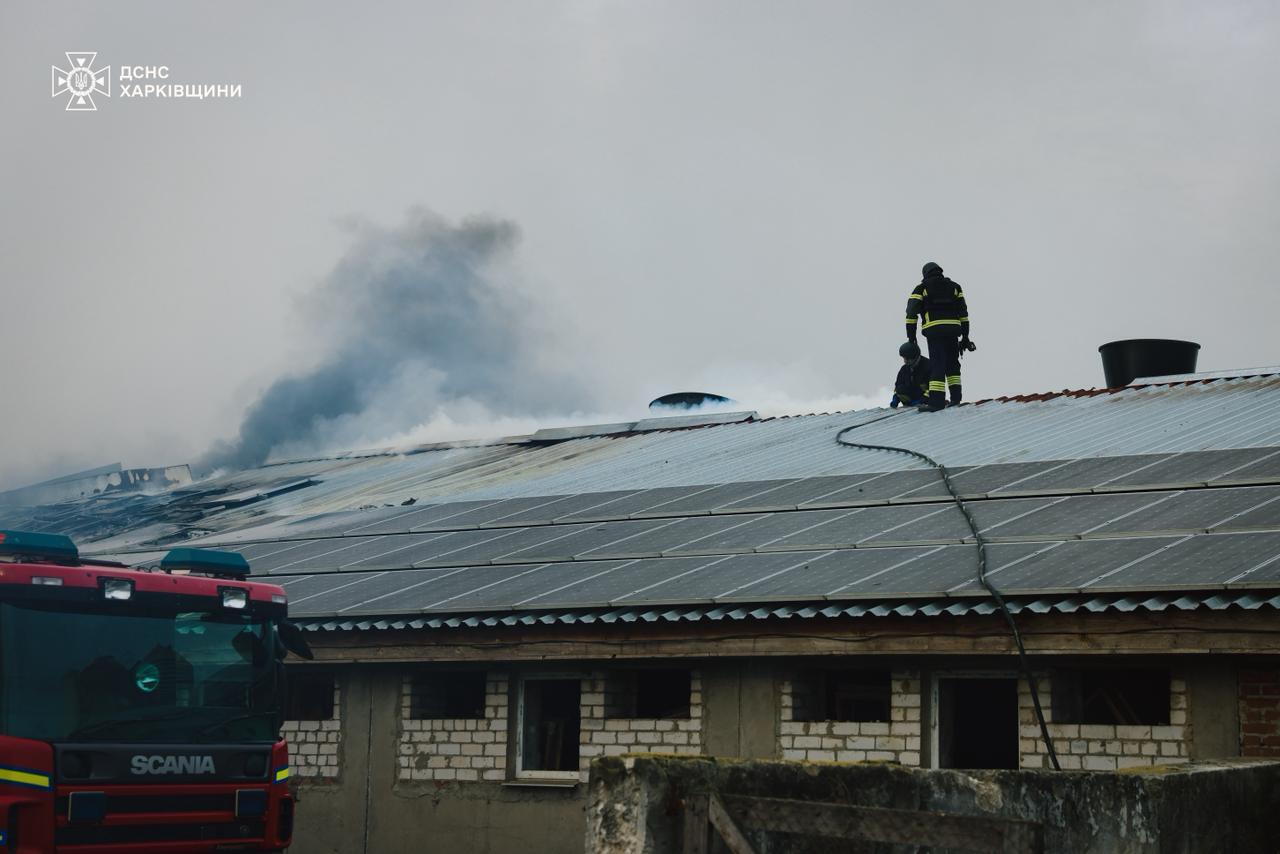 Оккупанты ударили по сельхозпредприятию на Харьковщине: погибли 13 тыс. свиней. Фото