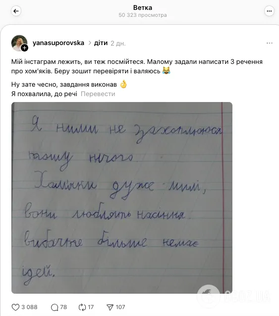 ''Сочинение'' о хомяках на три предложения рассмешило сеть: как выкрутился украинский школьник
