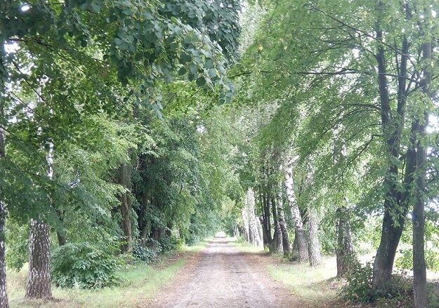 Интересные места для прогулок в Винницкой области