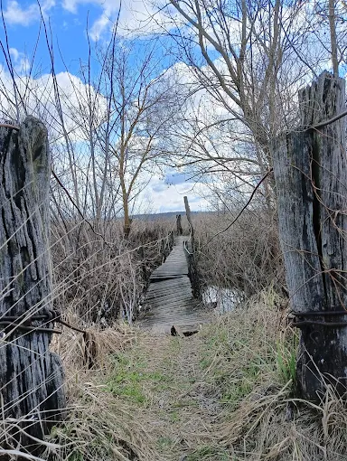 Подвесные мосты в Украине