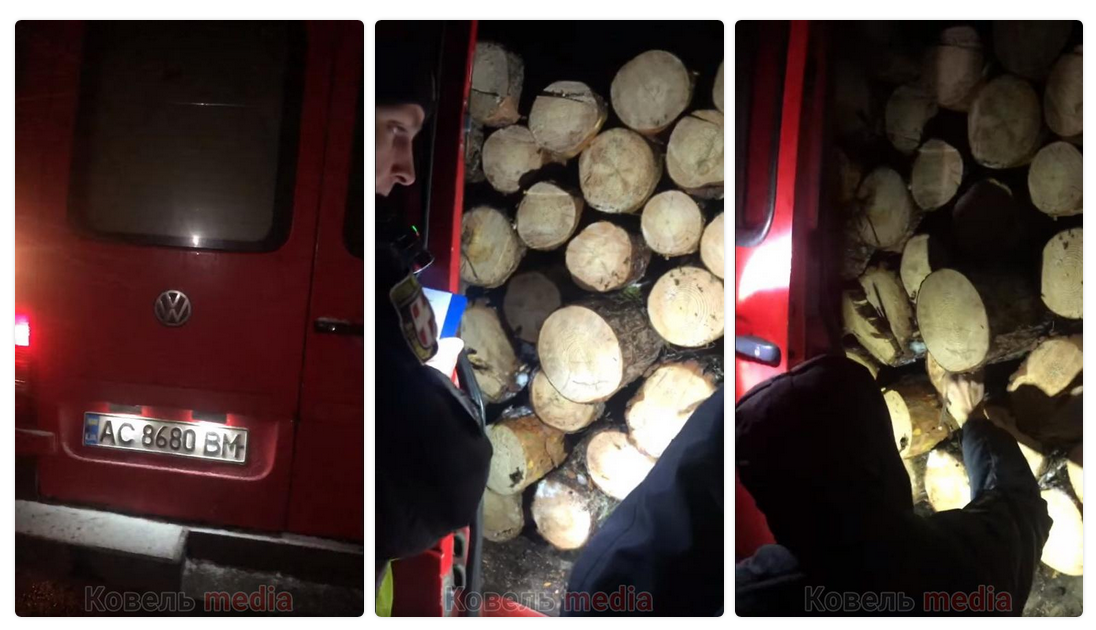 Депутат Смітюх причетний до незаконної вирубки лісів