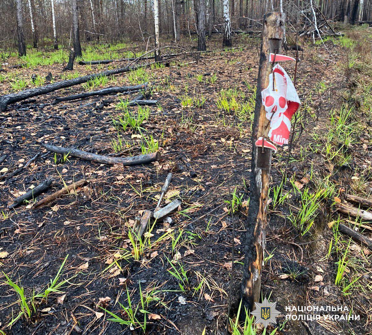 У прикордонні Житомирщини підірвались автівки: загинуло пʼятеро людей, є травмовані. Фото