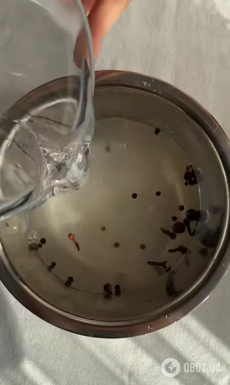 Як смачно замаринувати цибулю в домашніх умовах: ідеально до бургерів, салатів та інших страв