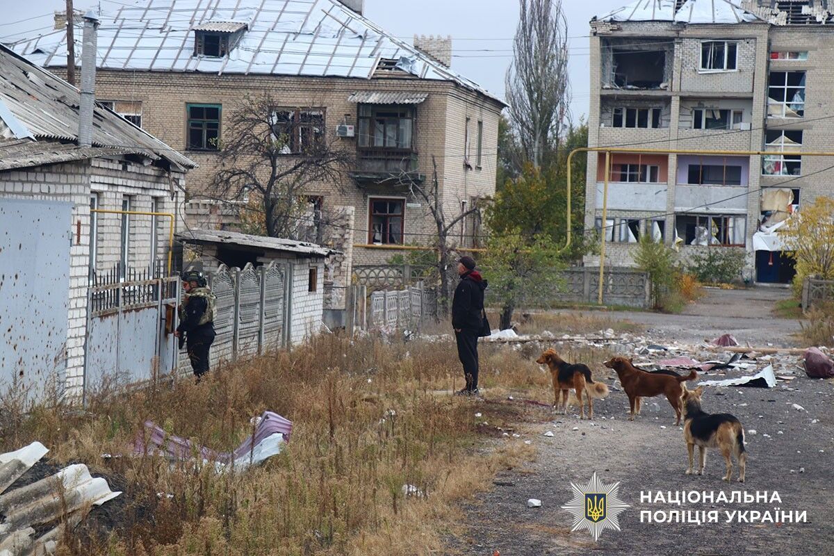 "Все погоріло, нічого не залишилося ": літнє подружжя пройшло пішки 16 км з Торського, де тривають важкі бої, до Лимана. Відео