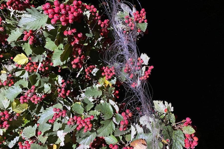 Оккупанты впервые ударили по Краматорску дроном на оптоволокне: попали в машину