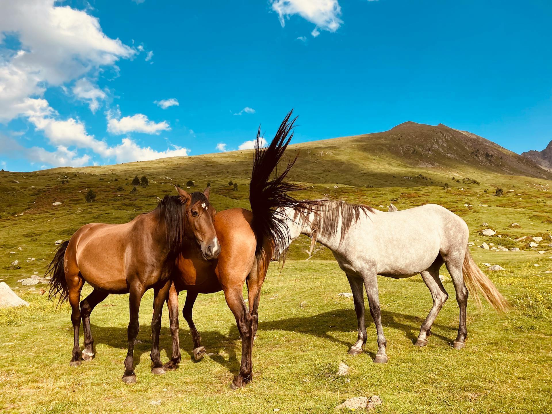 Нет аэропортов и вокзалов: чем поражает самая высокогорная столица Европы