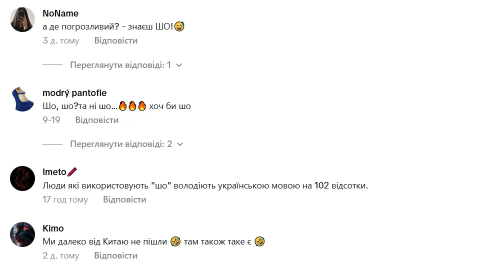 50 відтінків "ШО": мережу потішило відео про слово, яке вирізняє справжнього українця