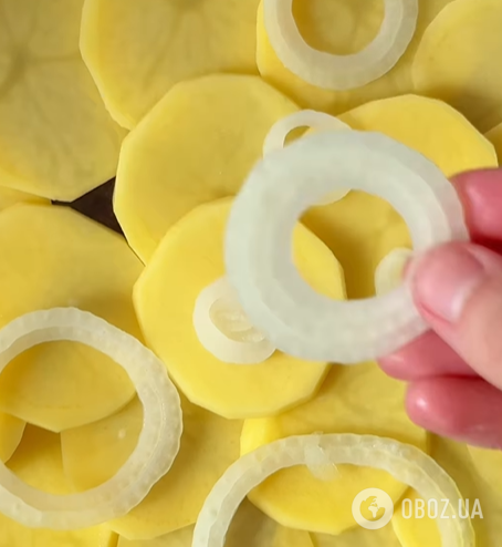 Сытная запеканка с курицей и овощами: готовится за считанные минуты