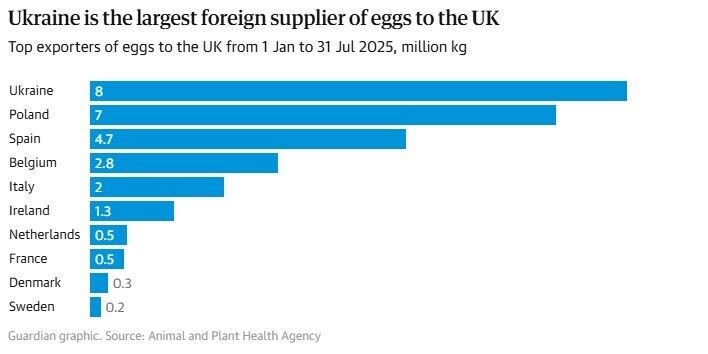 Найбільші експортери яєць до Великої Британії