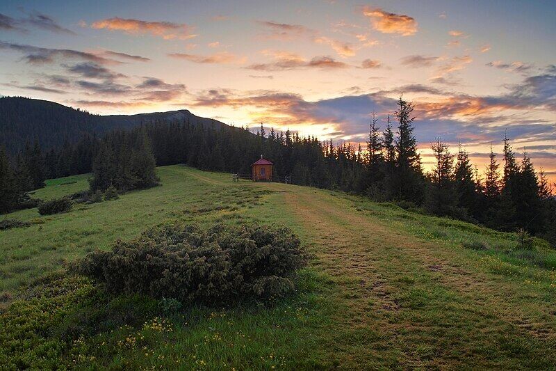 Карпати у 30-х роках: у мережі показали вид із гори Синяк