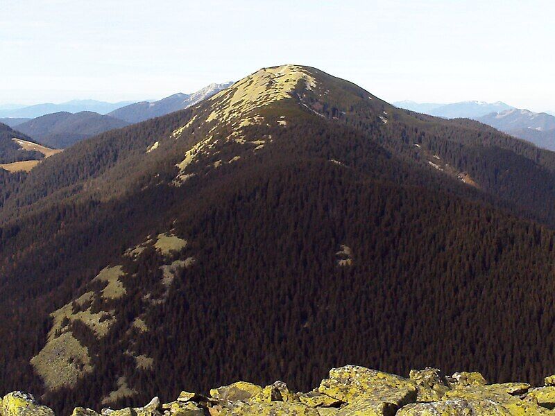 Карпати у 30-х роках: у мережі показали вид із гори Синяк