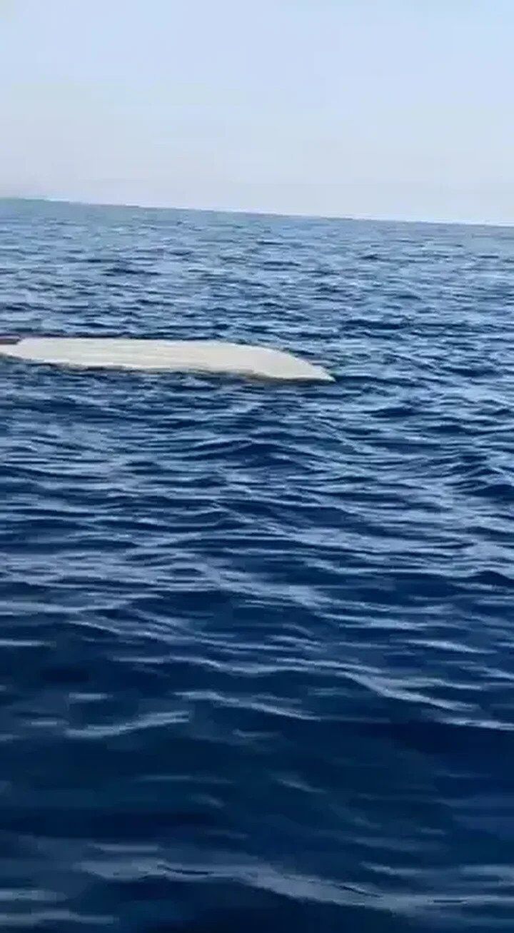 У берегов Турции рыбаки нашли морской дрон. Фото