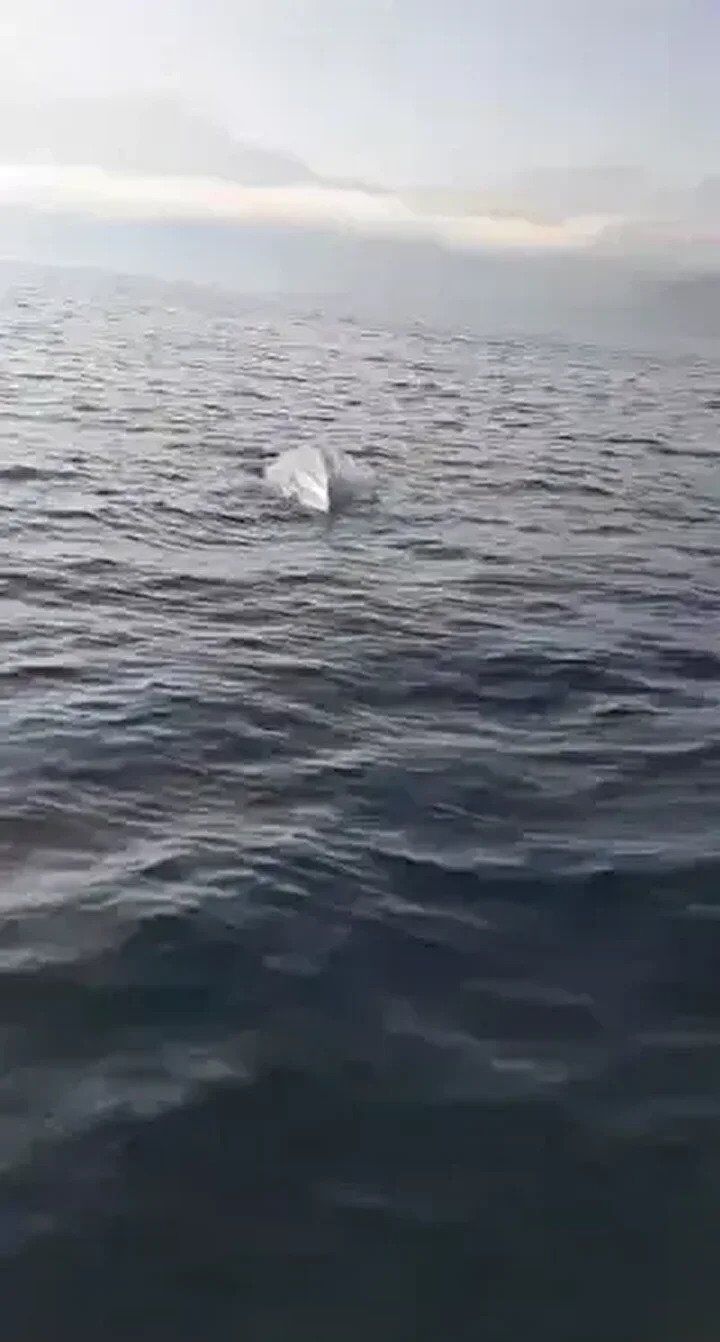 У берегов Турции рыбаки нашли морской дрон. Фото