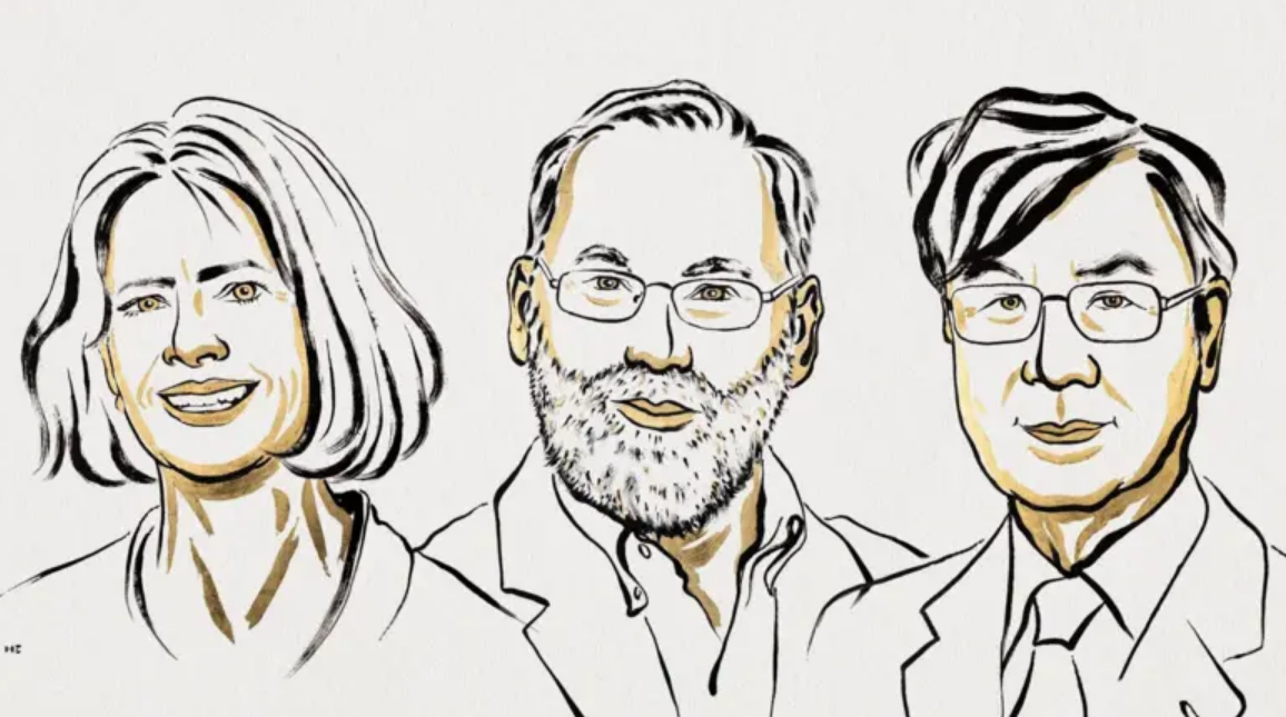 Нобелевский комитет не смог связаться с лауреатом премии, потому что тот ушел в "цифровой детокс"