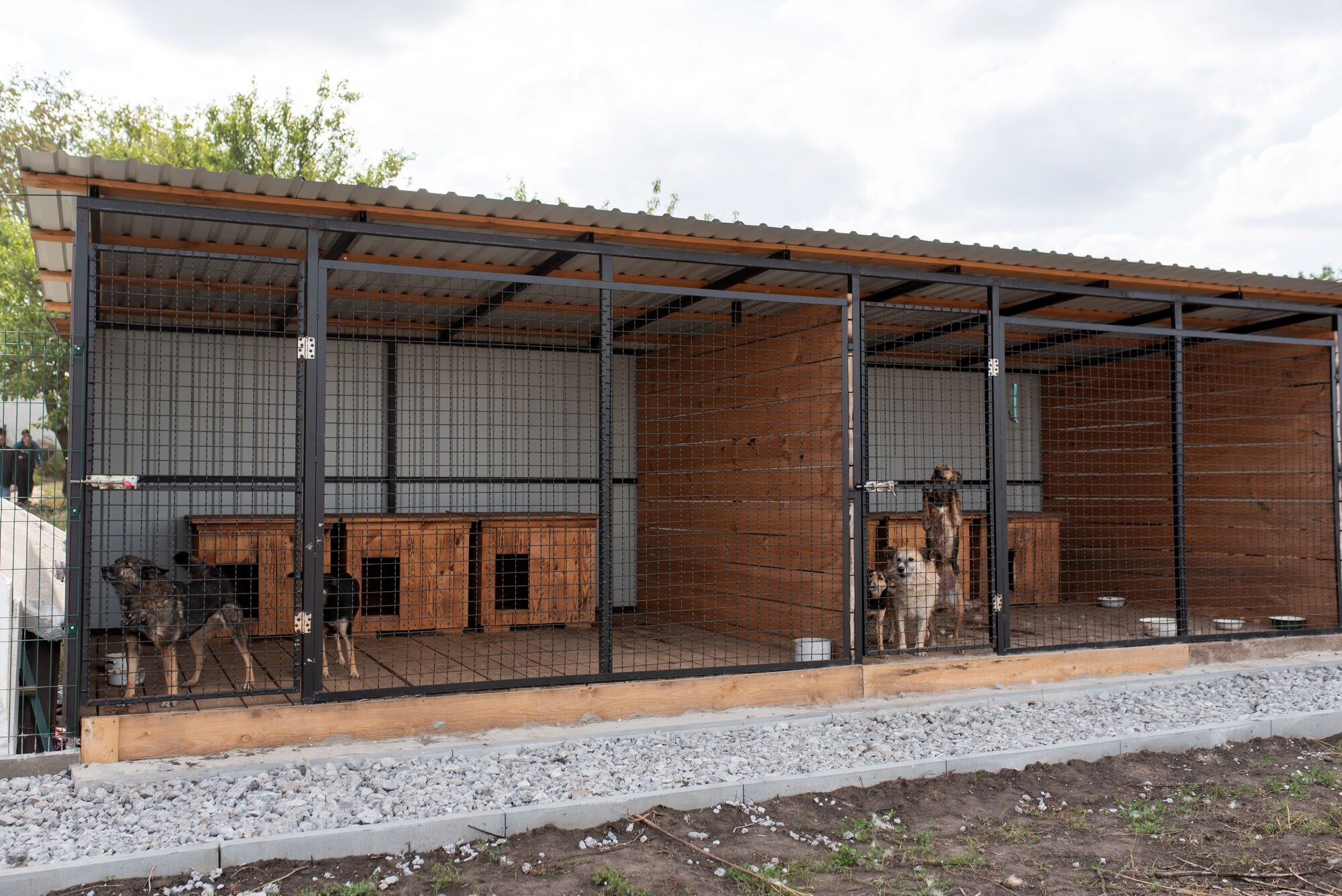 2000 врятованих тварин: "Інтерпайп" Пінчука долучився до розвитку притулку для тварин