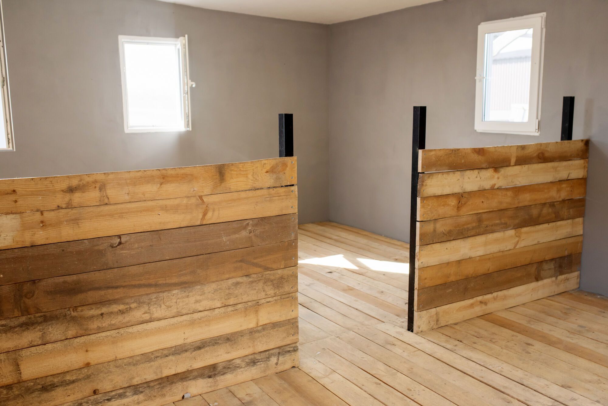 2000 врятованих тварин: "Інтерпайп" Пінчука долучився до розвитку притулку для тварин