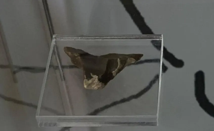 Оккупанты похитили более 170 украинских культурных ценностей, в частности из музея "Каменная Могила": в ГУР обнародовали данные. Фото