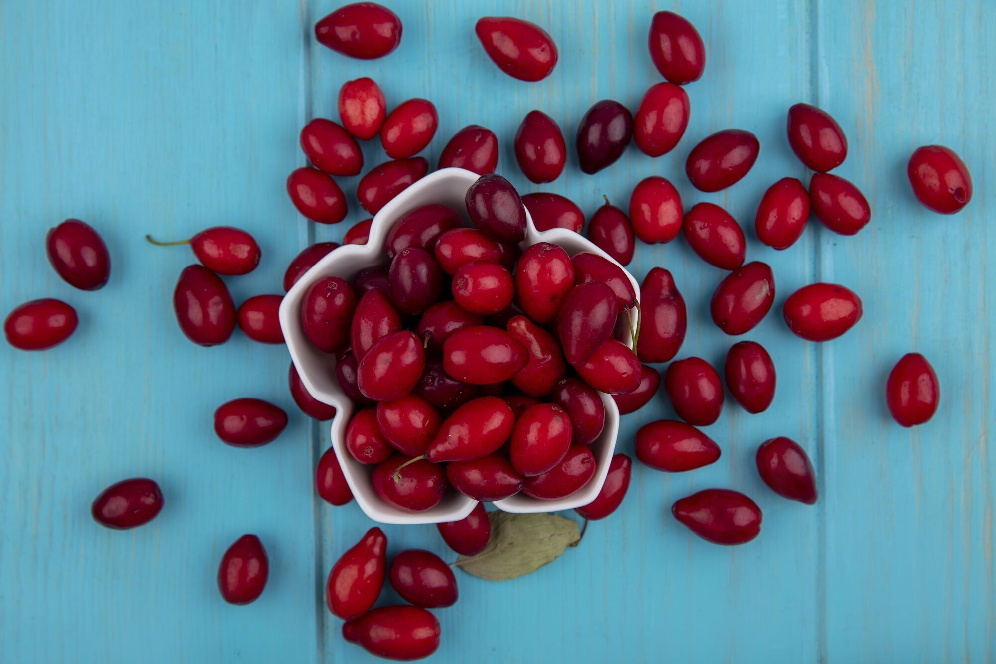 Как вырастить дома кизил: секреты для высокой урожайности