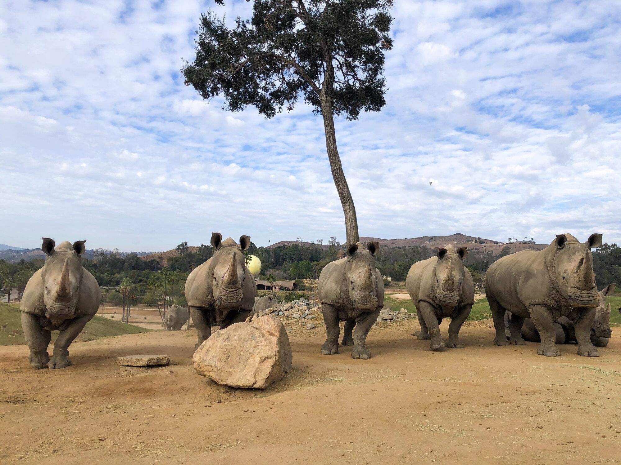 Где самые большие зоопарки в мире: топ-3