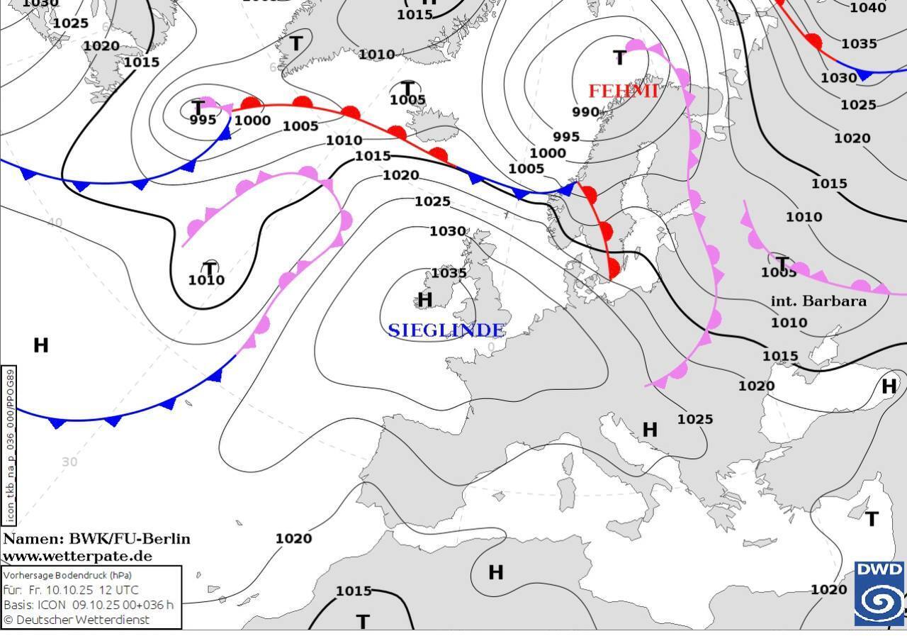 "Погода порадує грибників": синоптикиня уточнила прогноз на п'ятницю в Україні. Карта