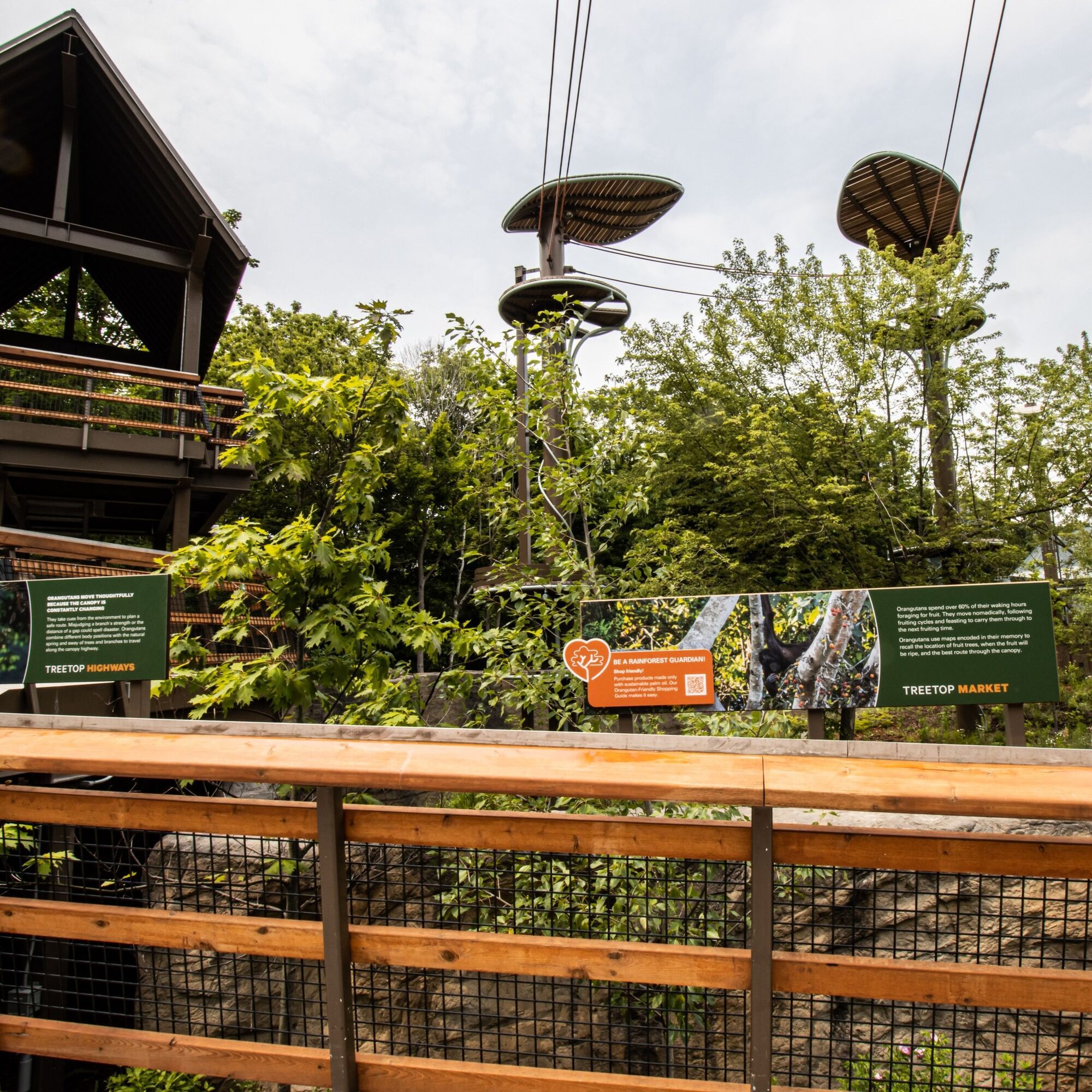 Где самые большие зоопарки в мире: топ-3