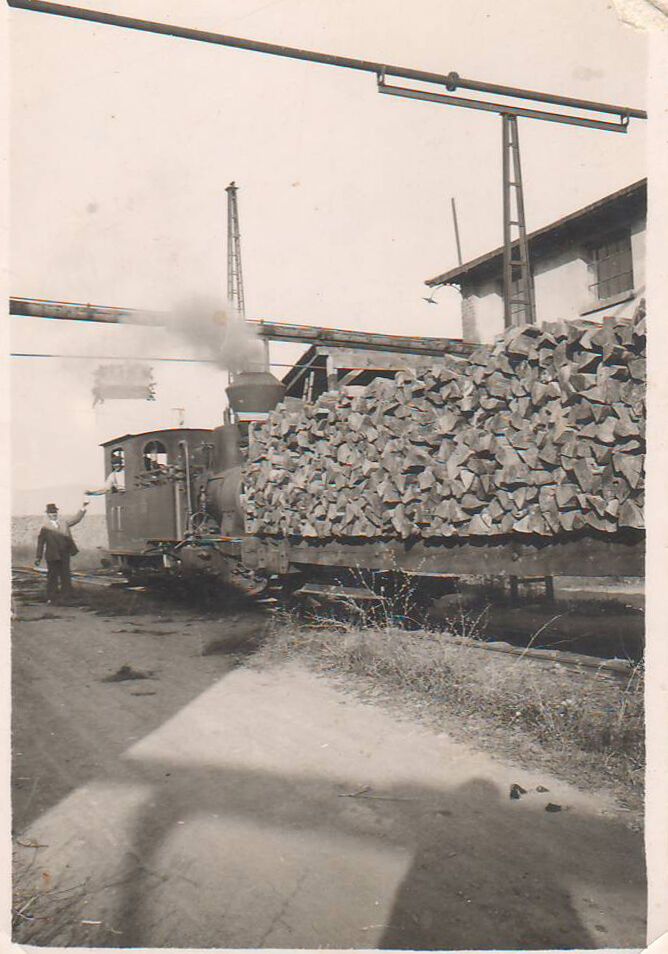 Закарпатье в 30-х годах: в сети показали необычный мост из железнодорожных рельсов