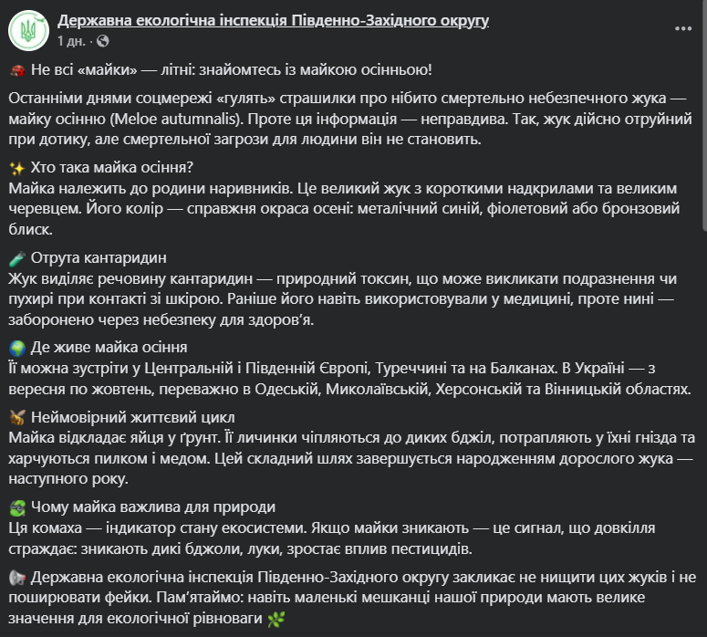 В Украине появился смертельно опасный жук? В экоинспекции ответили на резонанс