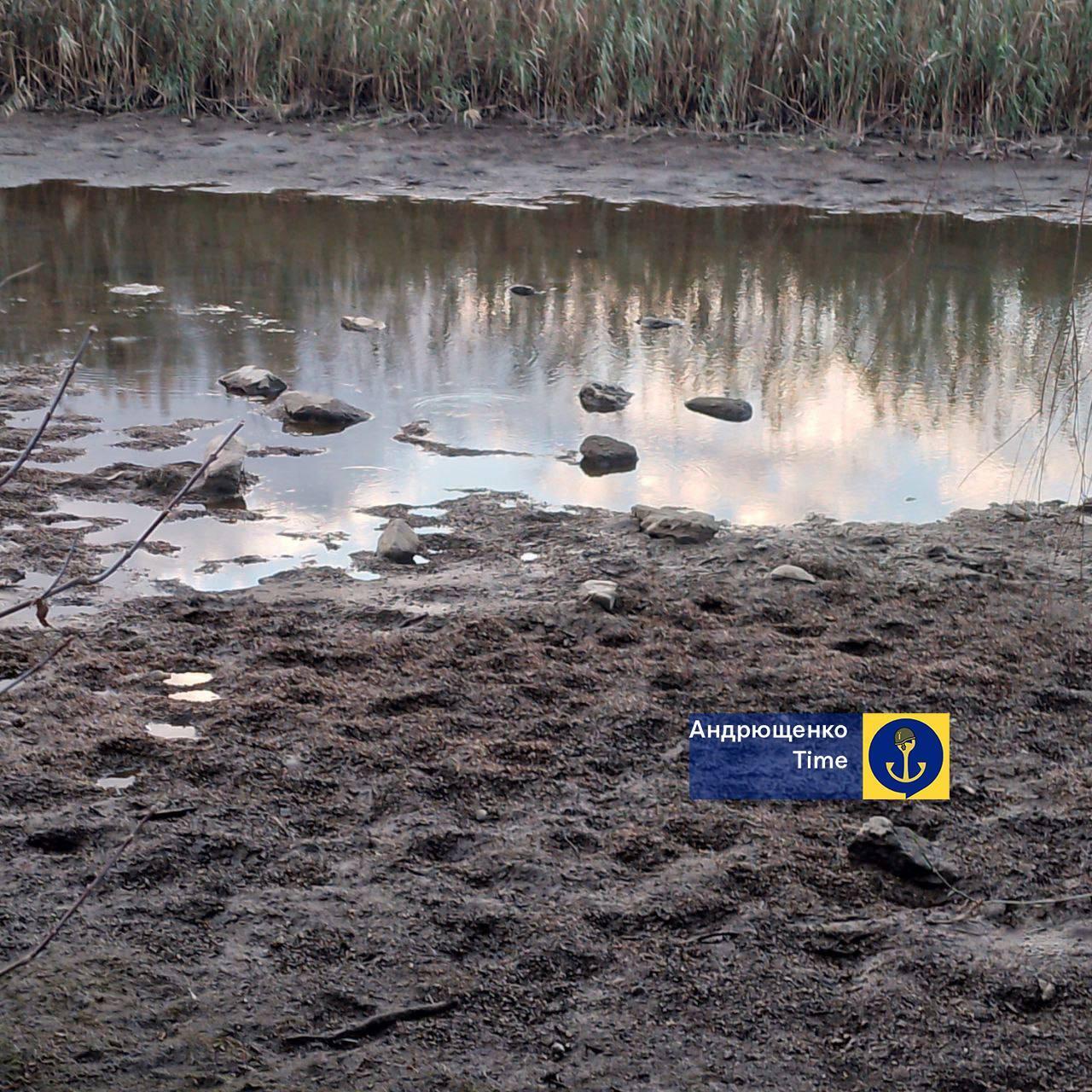 Так само починалося в Криму: Павлопільське водосховище біля окупованого Маріуполя стрімко міліє