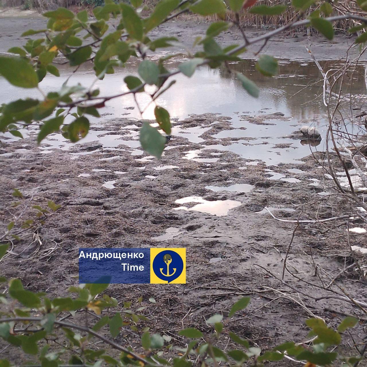 Так само починалося в Криму: Павлопільське водосховище біля окупованого Маріуполя стрімко міліє