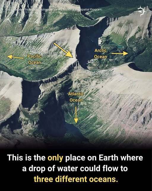 На Земле есть одно место, где соединяются три океана: фото и карта