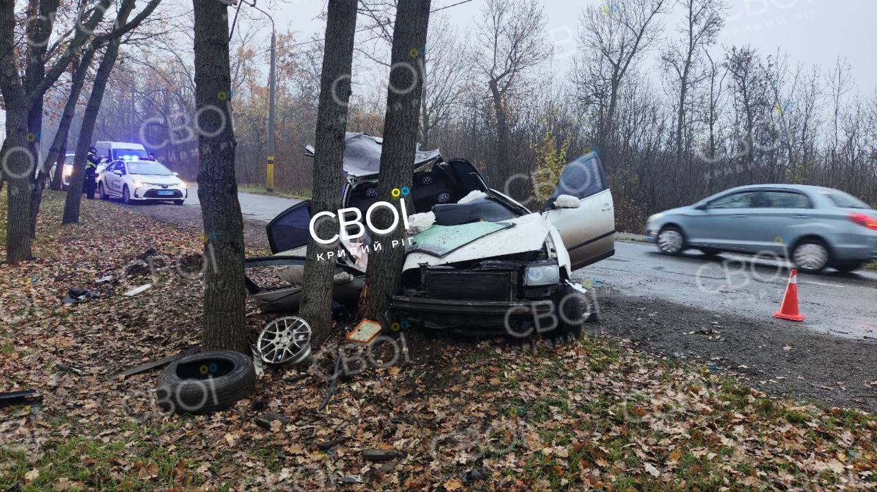 Авто влетело в дерево: в Кривом Роге в ДТП погиб человек, еще двое пострадали. Фото и видео