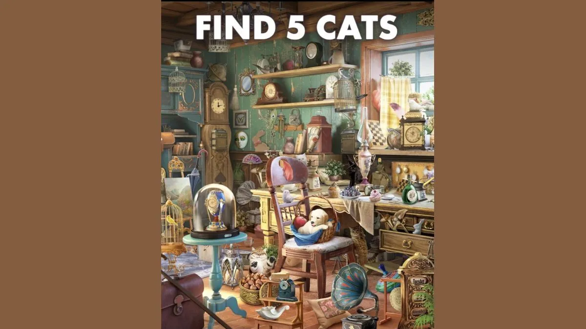 Найдите 5 котов в полном беспорядке: головоломка